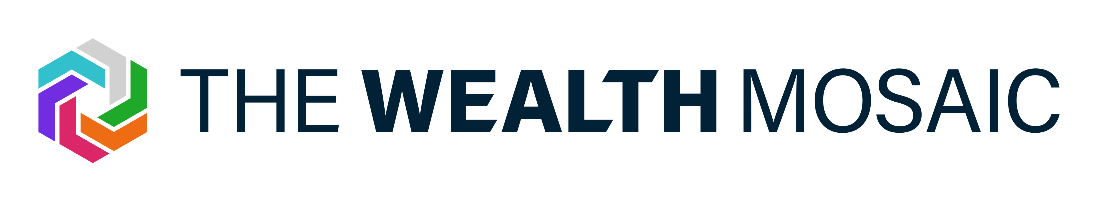 The Wealth Mosaic